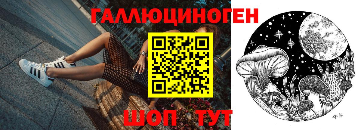 Псилоцибиновые грибы GOLDEN TEACHER Егорьевск